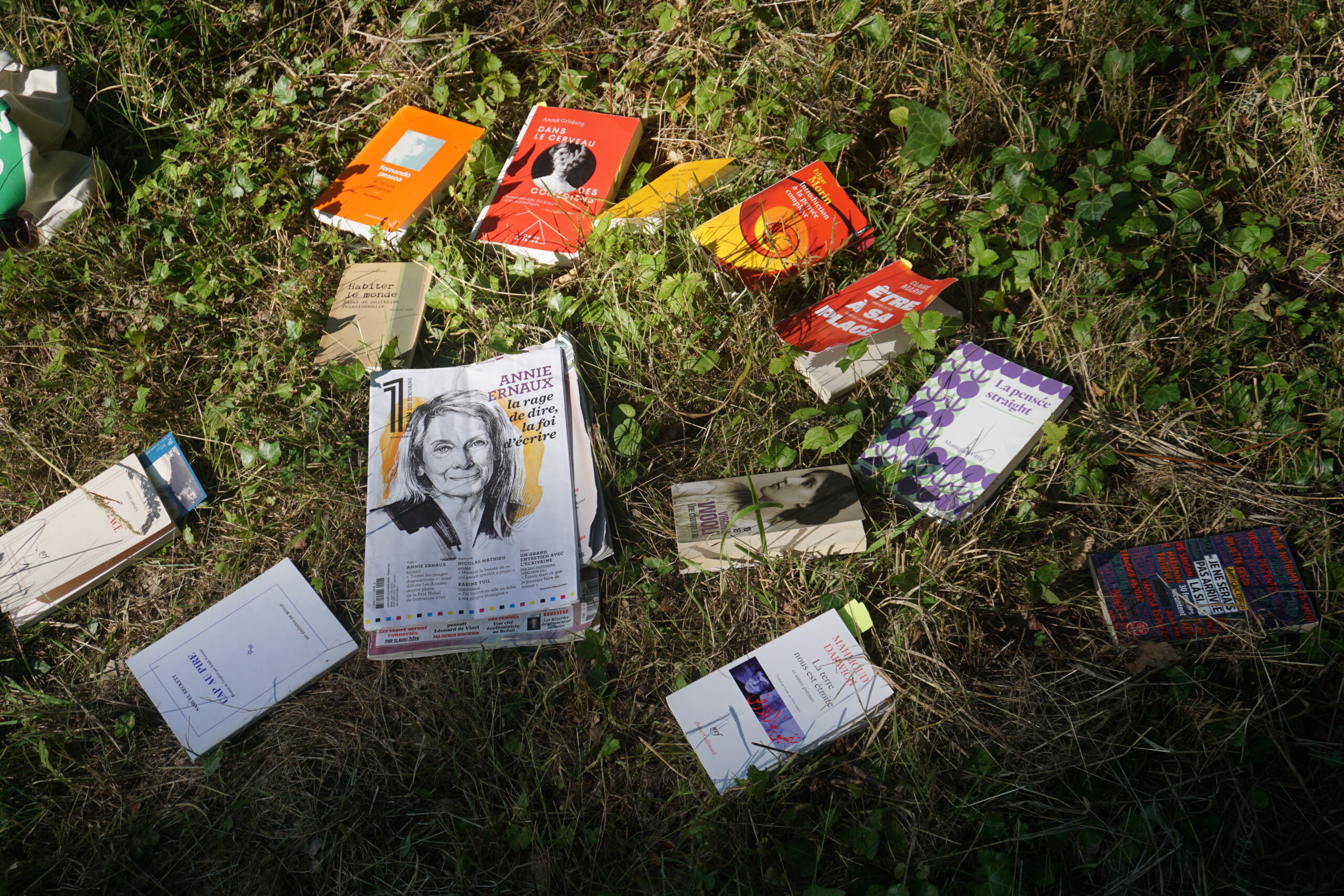 Inspirations Curiosité #3